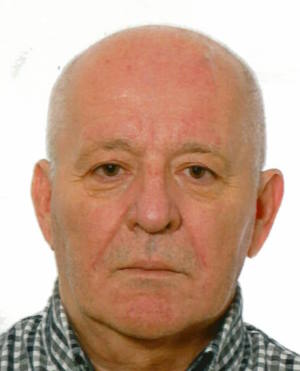SATINOVIĆ, DUBRAVKO
