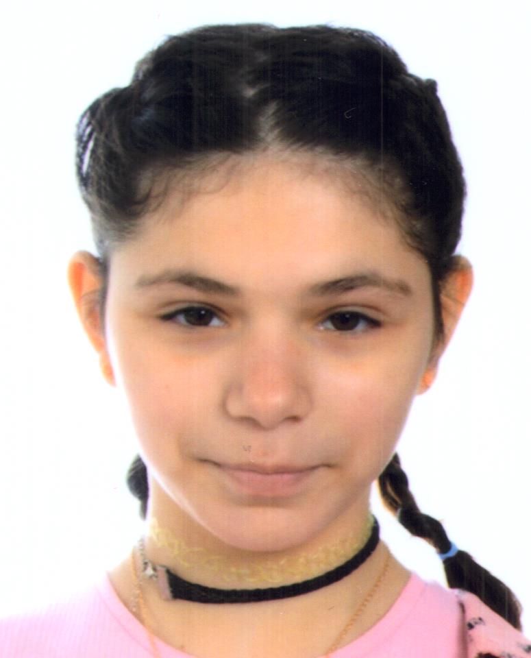 ŠARIĆ, VANJA